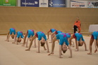 Adarosa